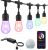Outdoor LEB Bulb String Lights 49FT 15M with Smart Dimming Controller, Wi-Fi Bluetooth APP Controlled and RF433 Remote Control